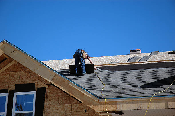 Best Roof Leak Repair  in Spring Valley, MN